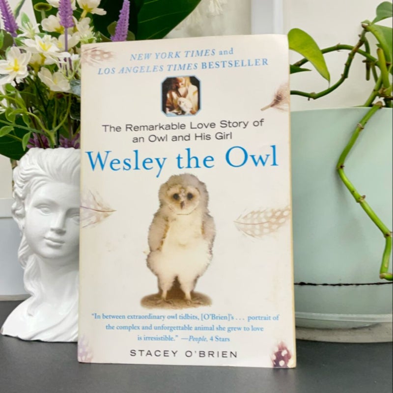 Wesley the Owl