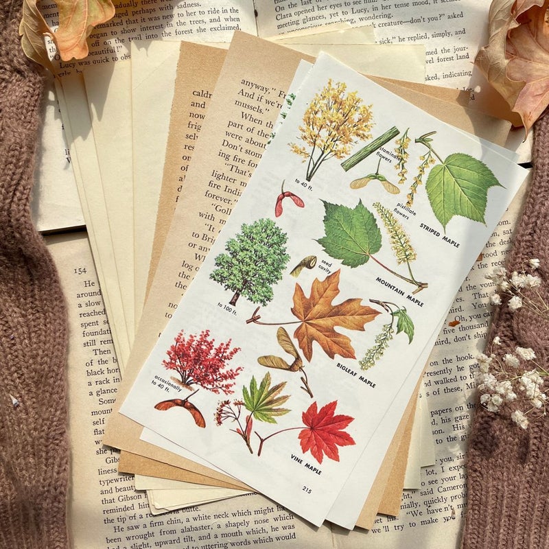 Autumn Journaling Bundle 1