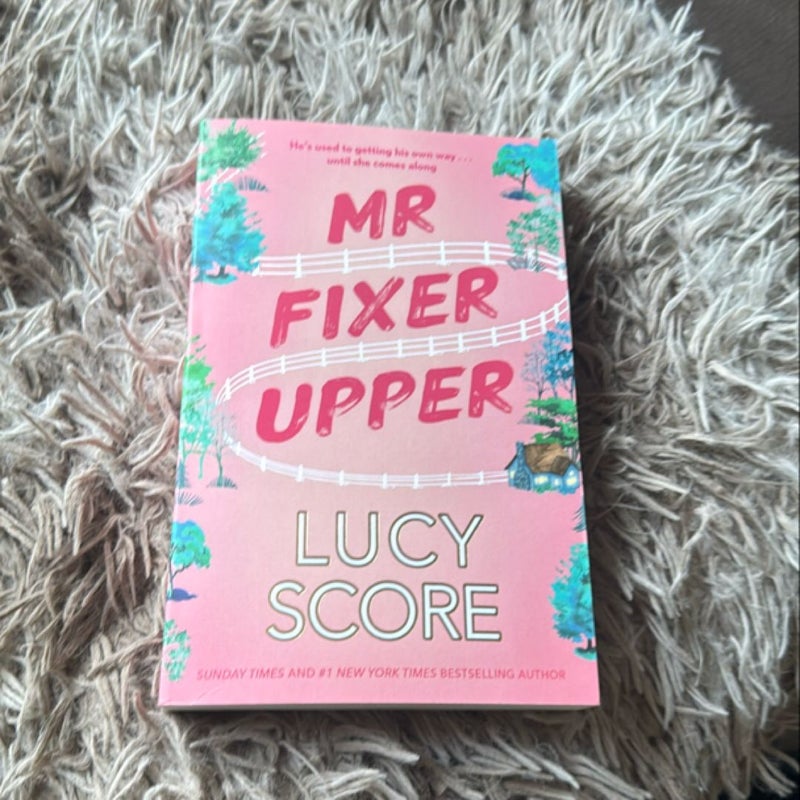 Mr Fixer Upper