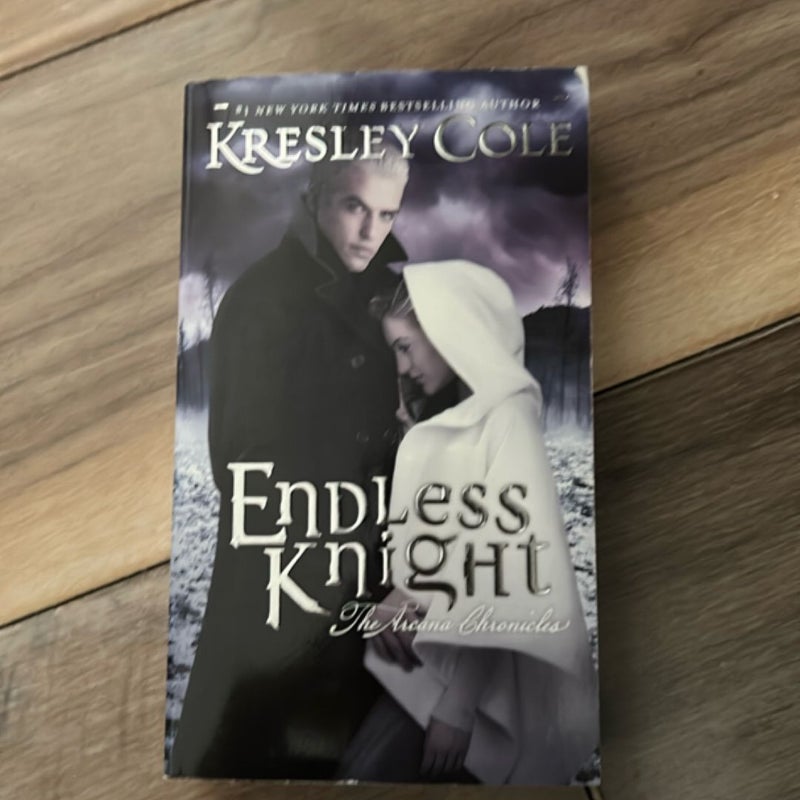 Endless Knight