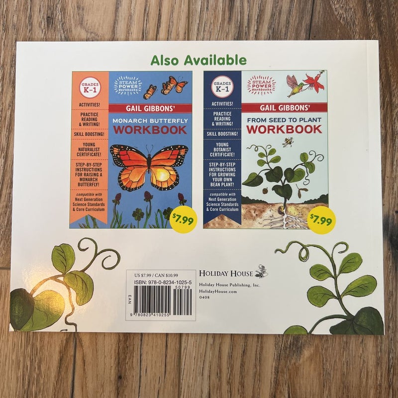 From Seed to Plant