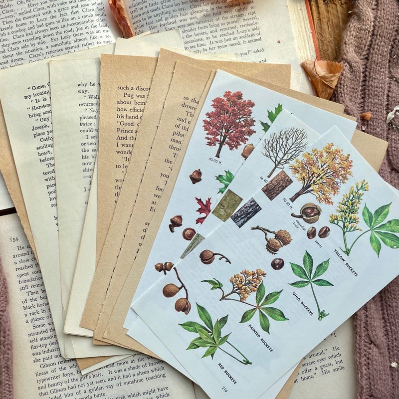 Autumn Journaling Bundle 2