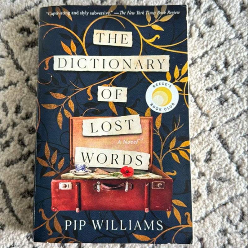 The Dictionary of Lost Words