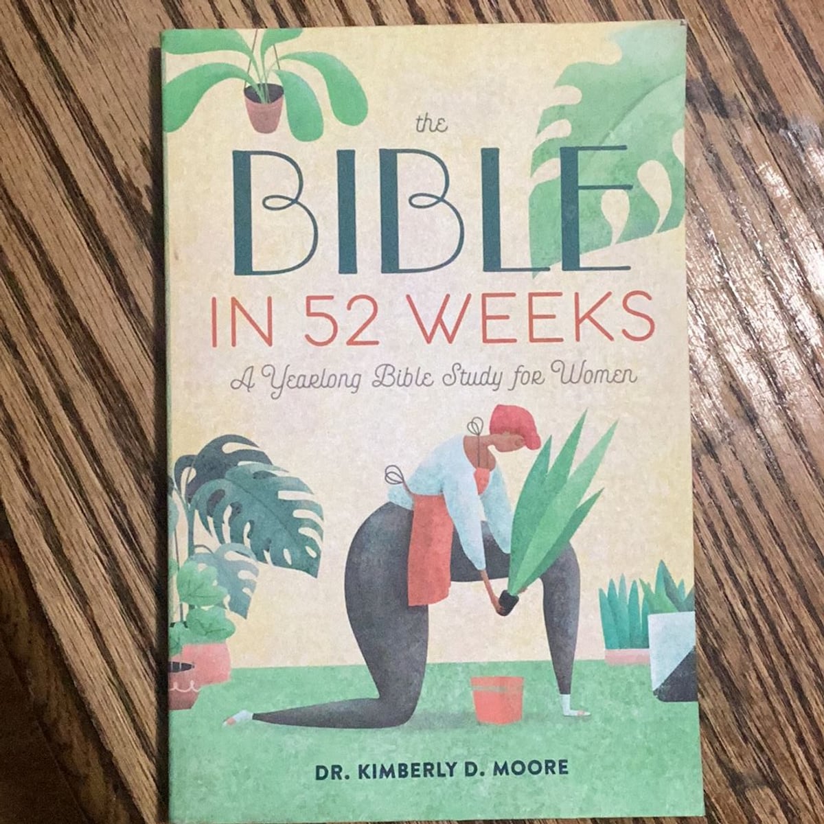 The bible in 52 weeks by kimberly d moore paperback pangobooks