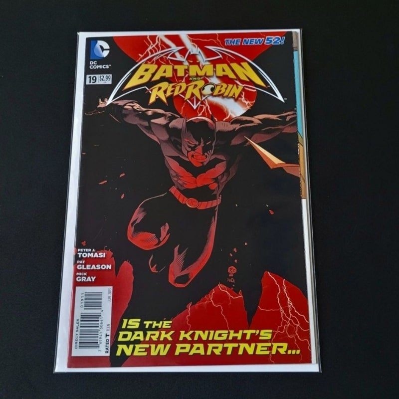 Batman And Robin #19