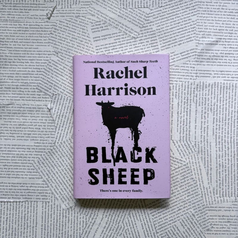 Black Sheep