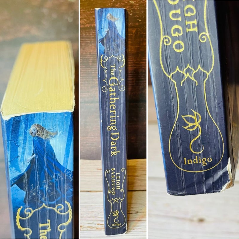 RARE Signed The Gathering Dark Leigh Bardugo Shadow and Bone 