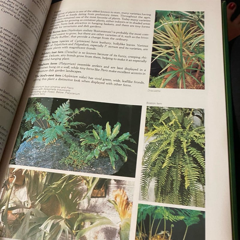 Illustrated Encyclopedia of Gardening: Houseplants