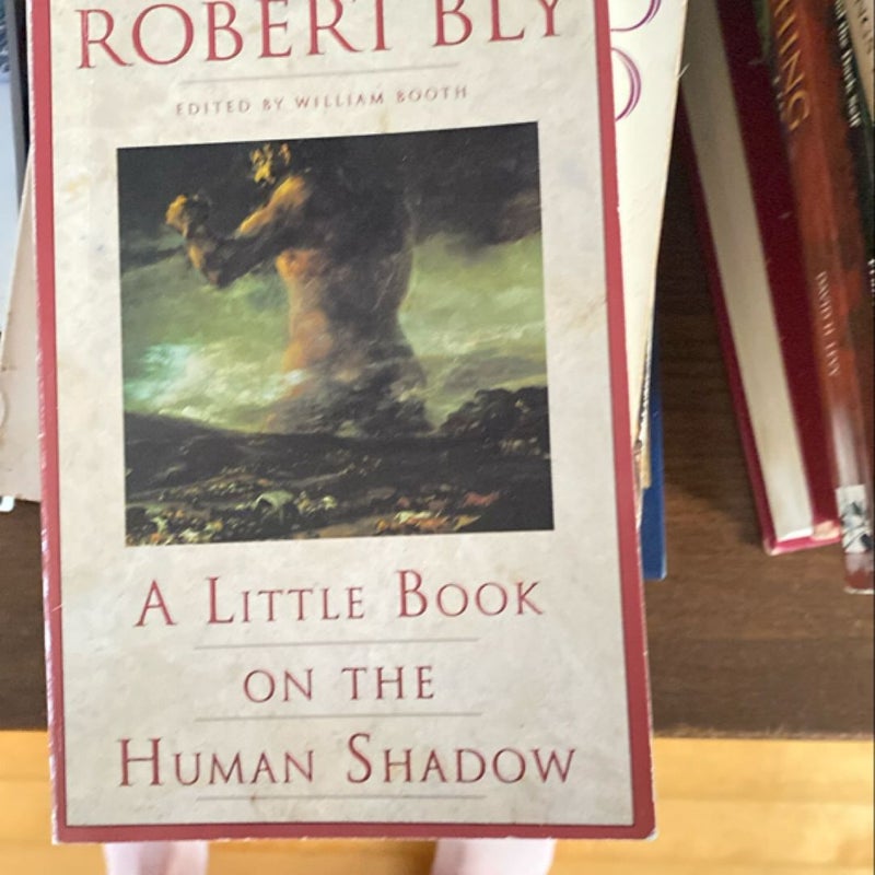 A Little Book on the Human Shadow