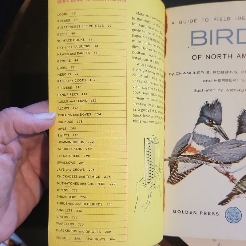 A GUIDE TO FIELD IDENTIFICATION: Birds of North America