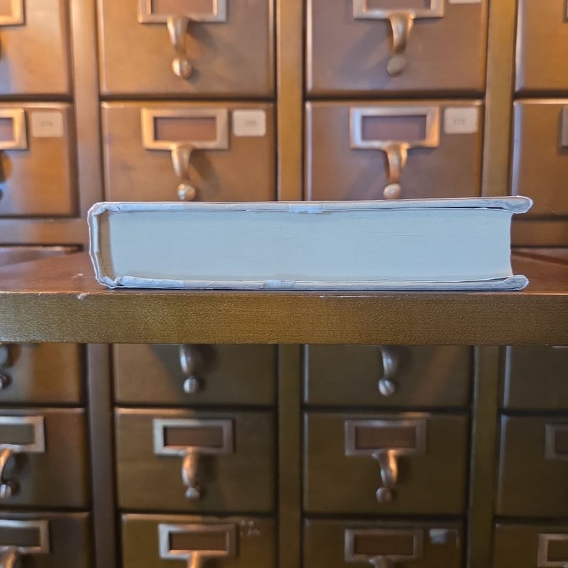 Fleishman Is in Trouble