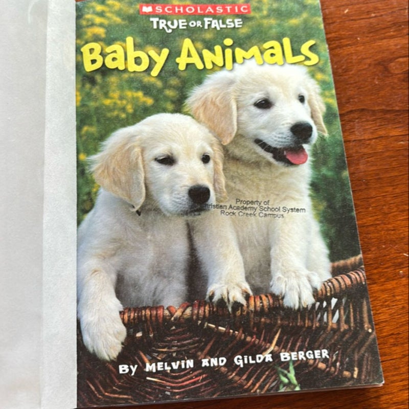 Baby Animals (Scholastic True or False)