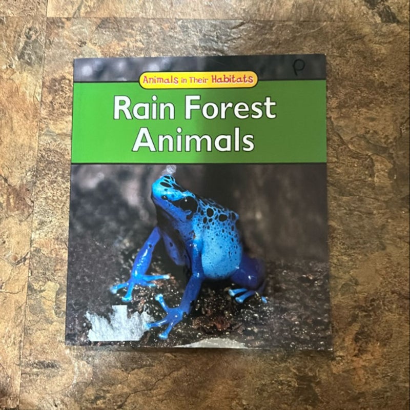 Rain Forest Animals