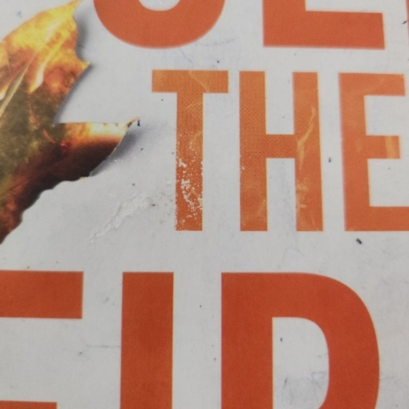 Fuel the Fire by Krista Ritchie, Paperback Pangobooks