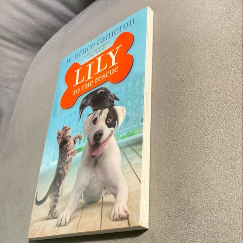 Lily to the Rescue