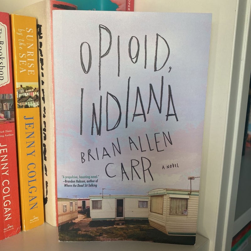 Opioid, Indiana