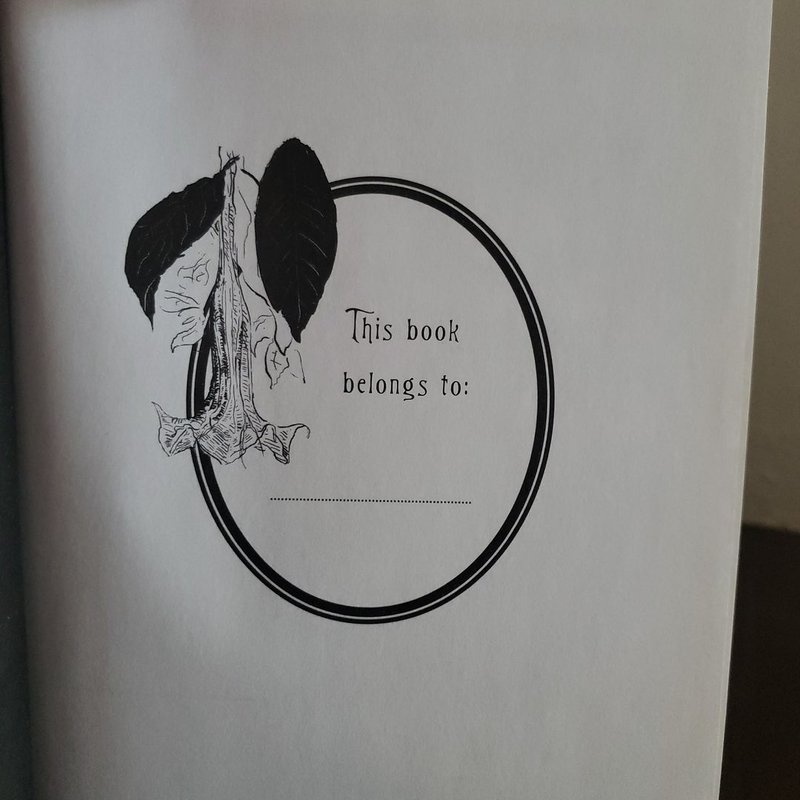 Plain Bad Heroines by Emily M. Danforth, Hardcover | Pangobooks