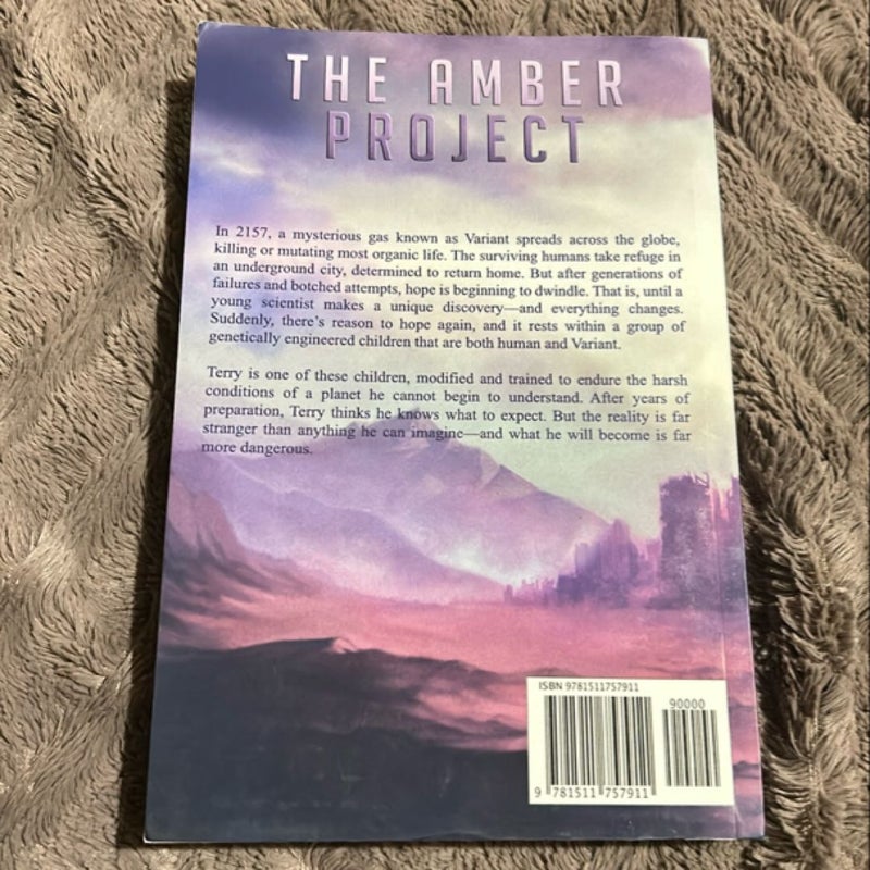 The Amber Project