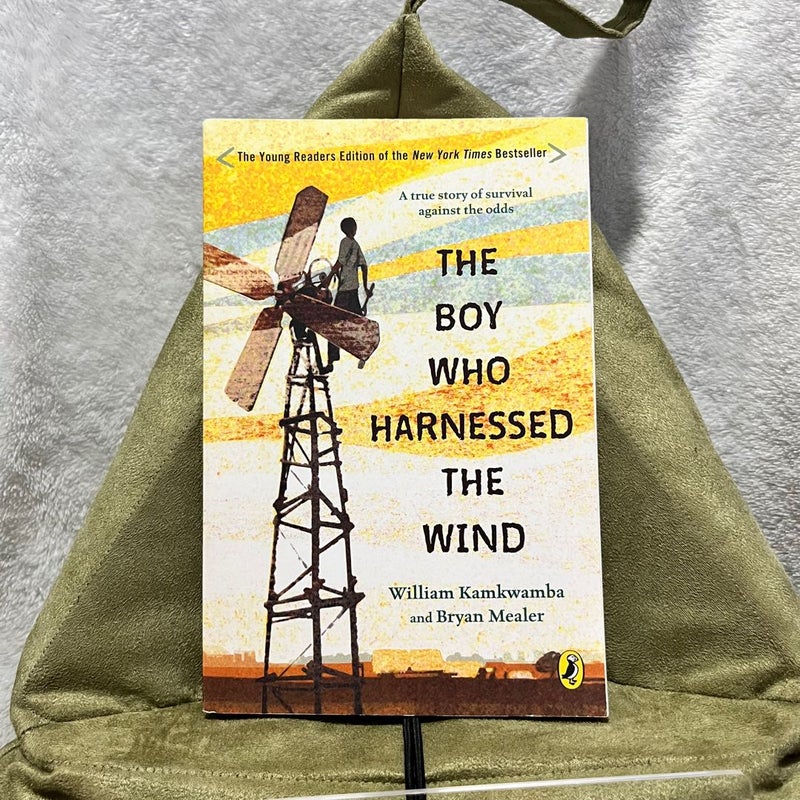 The Boy Who Harnessed the Wind