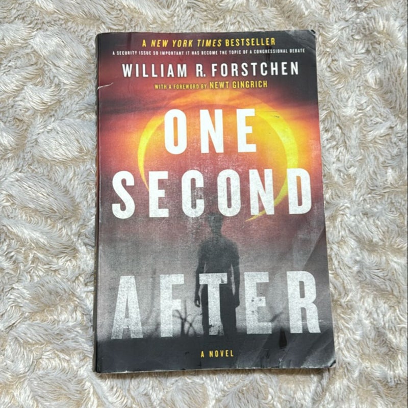 One Second After