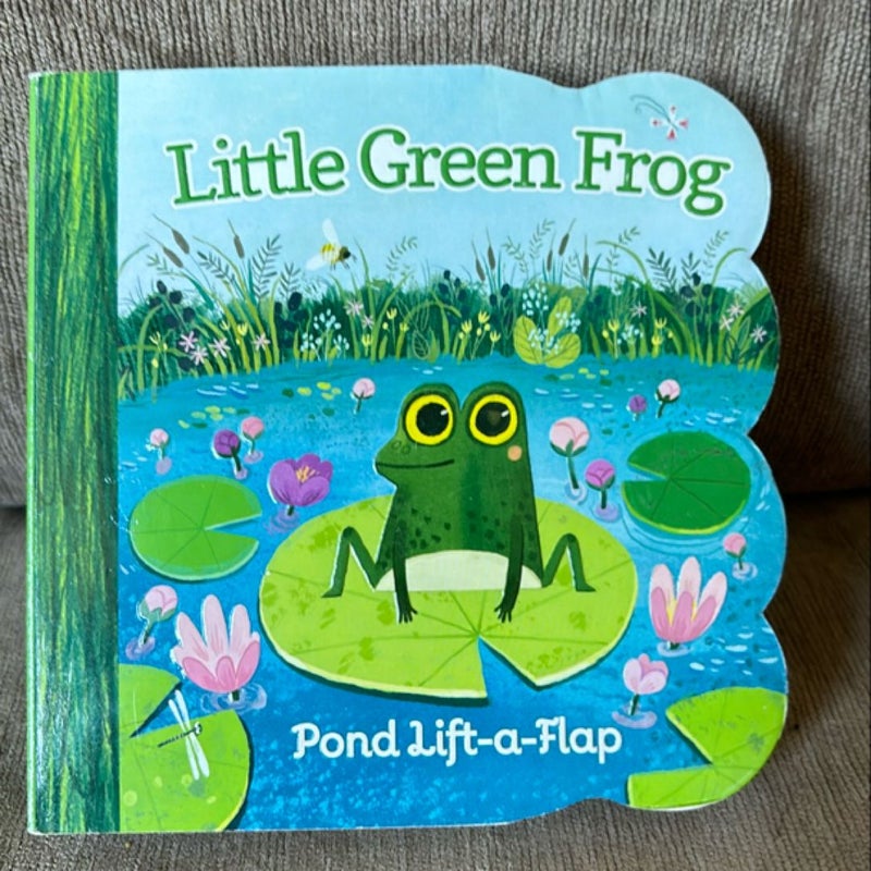 Little Green Frog Flap Boardbook