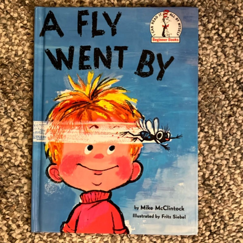 A Fly Went By