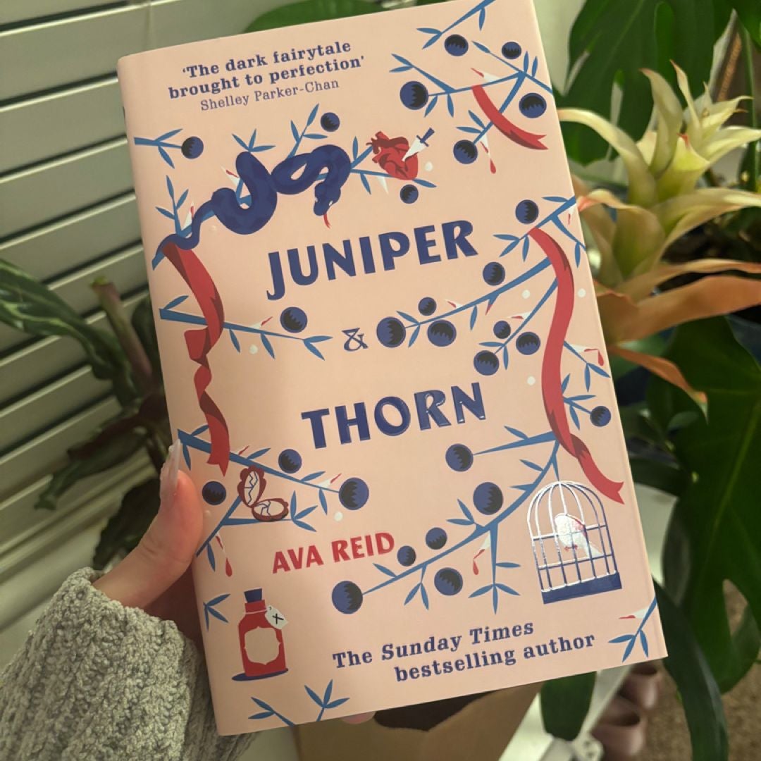 Sale image for fa8d619f-1cd8-4479-b4a3-b3f0629eaa0e-UdfILkH6J9X5MdXdNoEdRChGnSc2