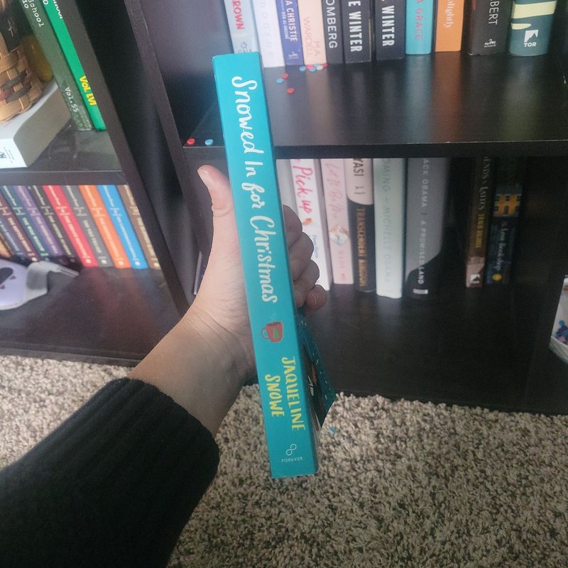 Snowed in for Christmas