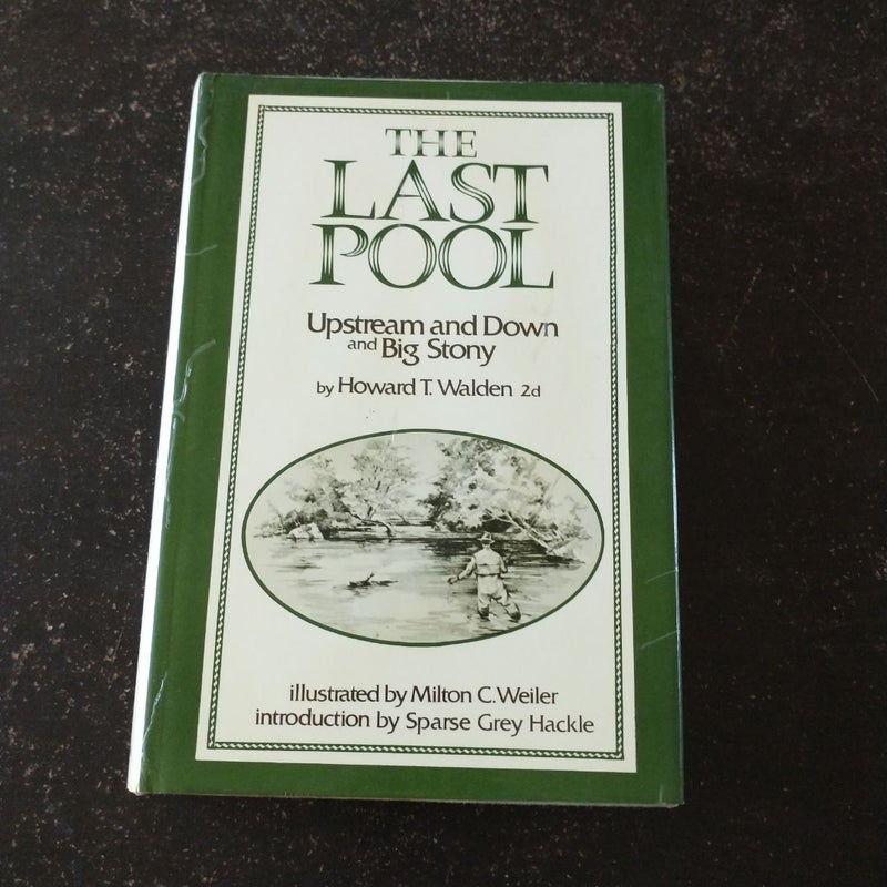 The Last Pool