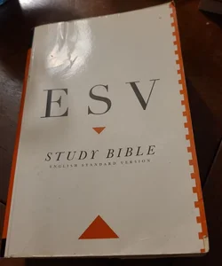 Study bible