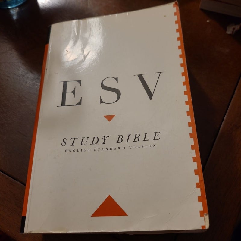 Study bible