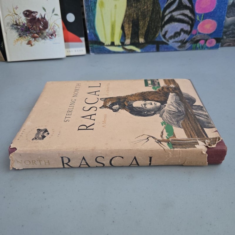 Rascal