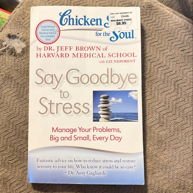 Chicken Soup for the Soul: Say Goodbye to Stress