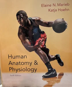 Human Anatomy and Physiology