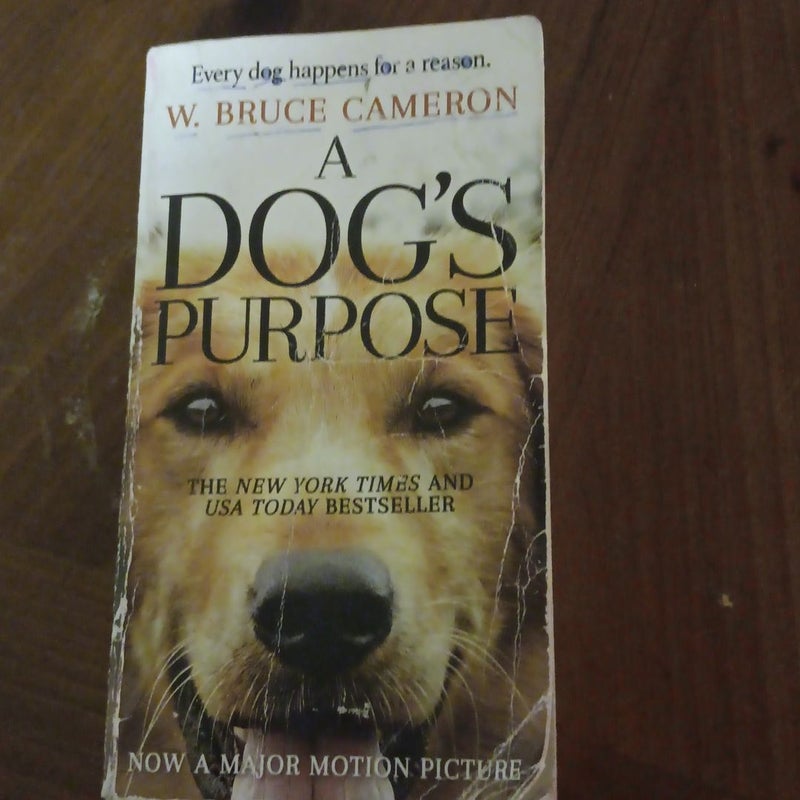 A Dog's Purpose