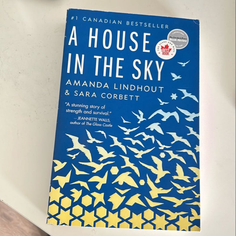 A House in the Sky