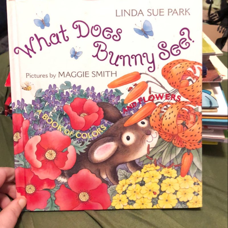 What Does Bunny See?