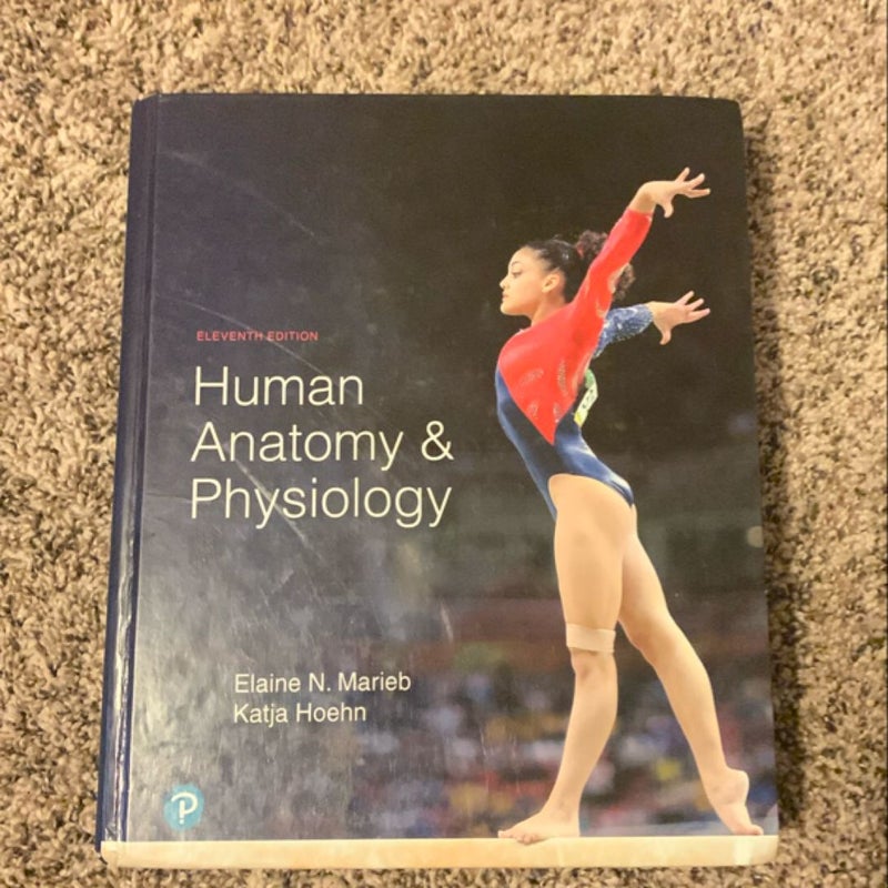 Human Anatomy and Physiology