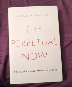 The Perpetual Now