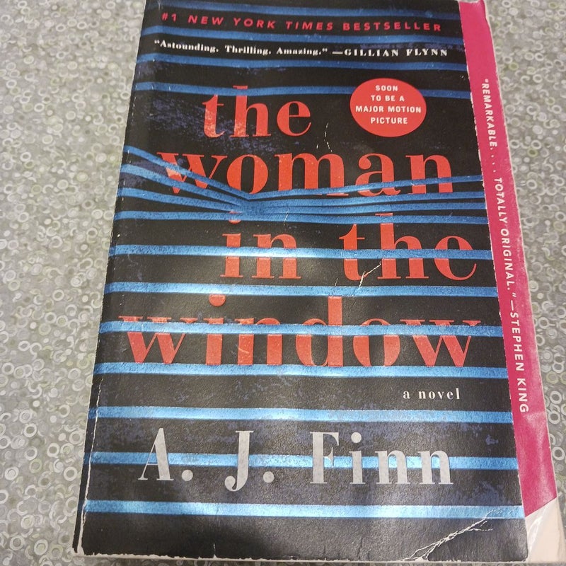 The Woman in the Window