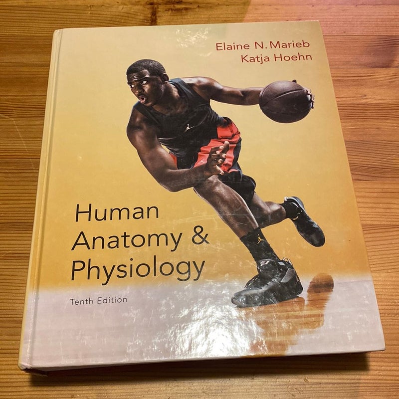 Human Anatomy and Physiology