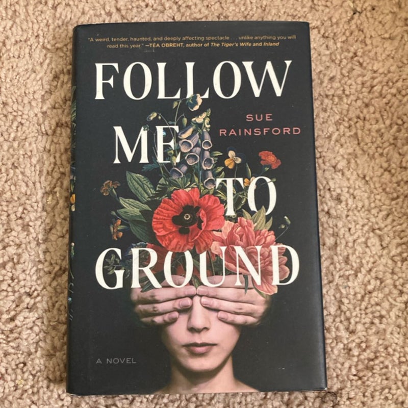 Follow Me to Ground