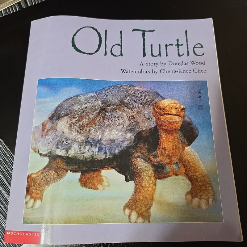 Old Turtle 