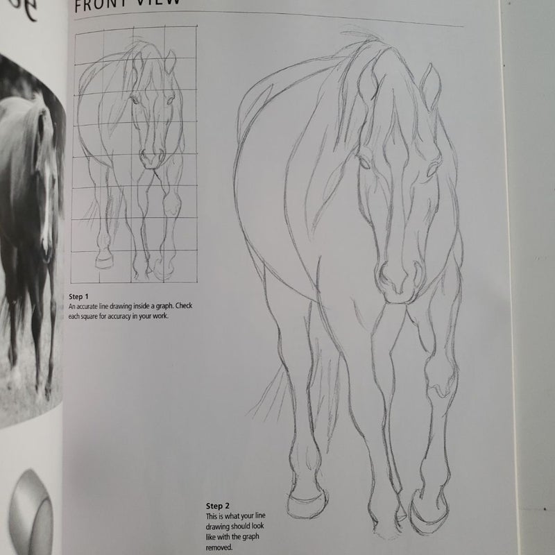 Draw Horses