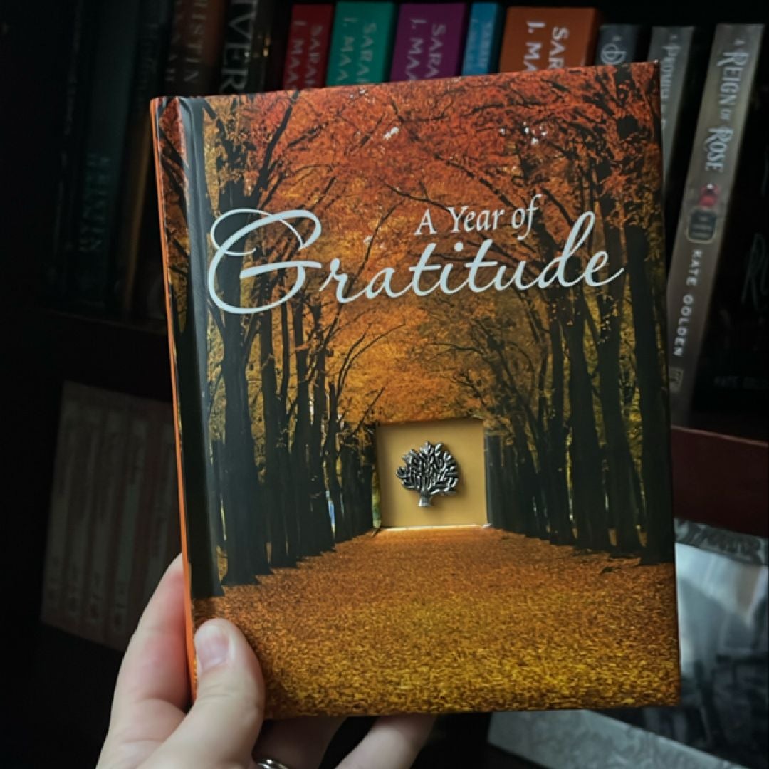 A Year of Gratitude