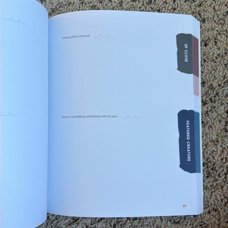 Daily Drawing Prompts