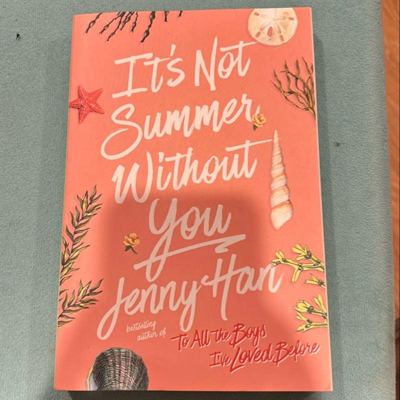 It's Not Summer Without You