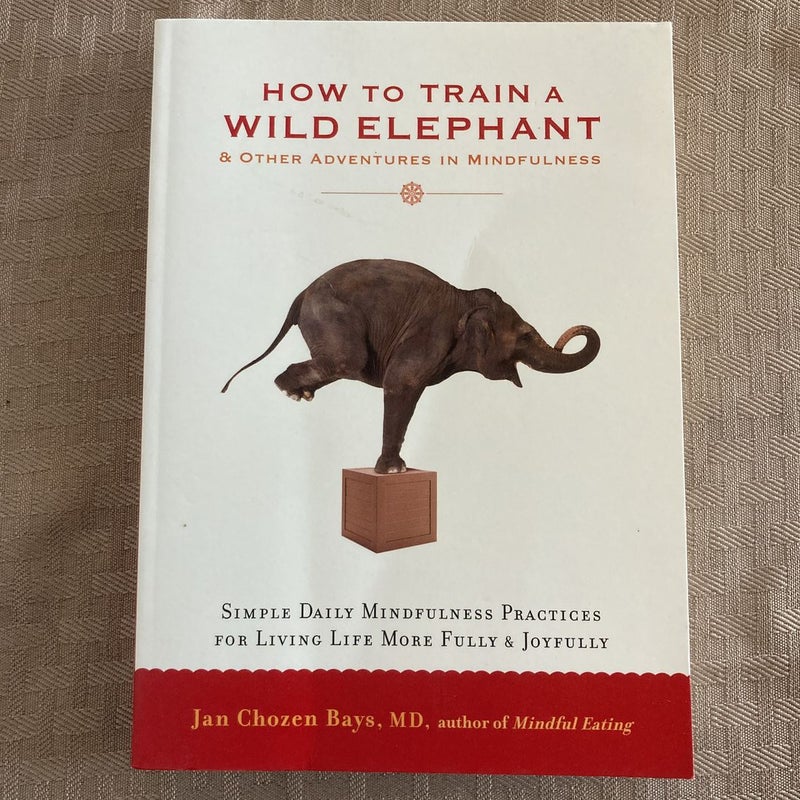 How to Train a Wild Elephant