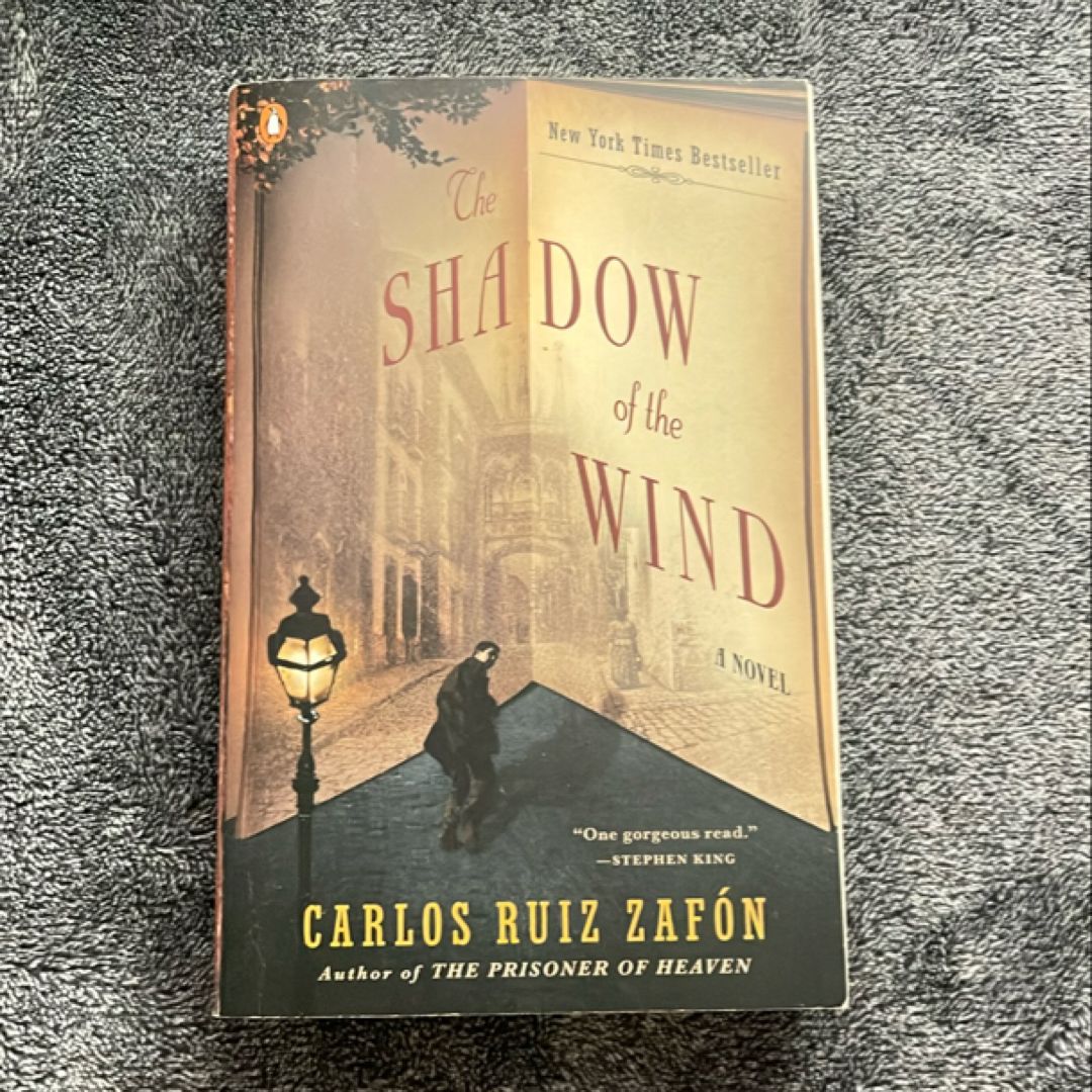 The Shadow of the Wind