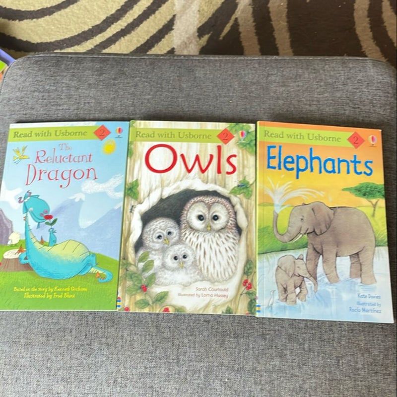 Read With Usborne Level 2 Reader Set